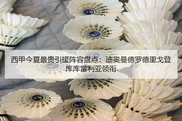 西甲今夏最贵引援阵容盘点：迪奥曼德罗德里戈登库库雷利亚领衔